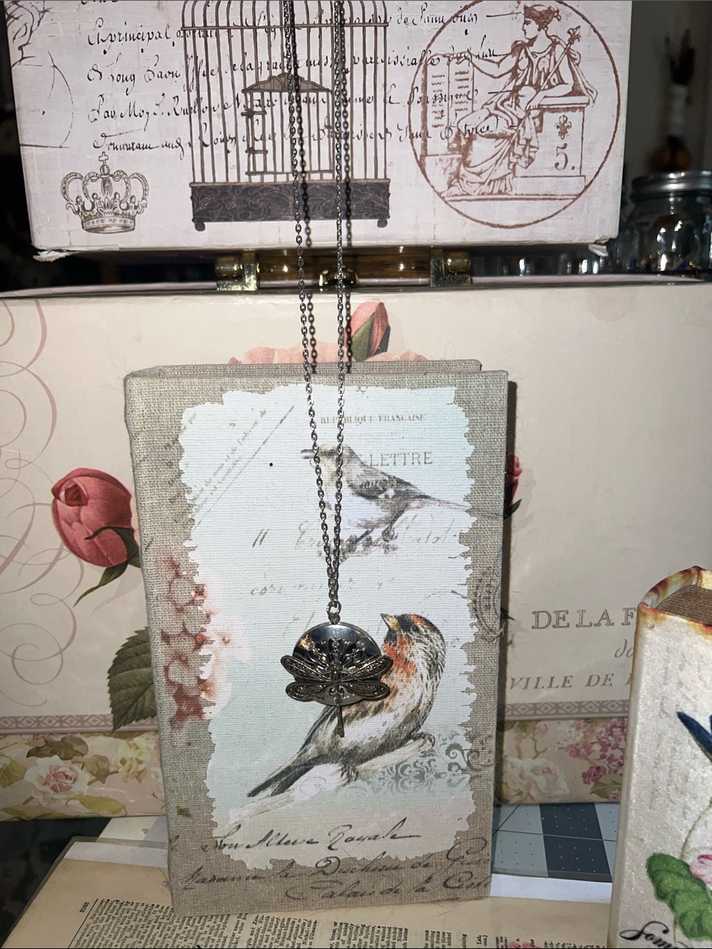 Silver Dragonfly aroma locket Necklace - Picture 4 of 7